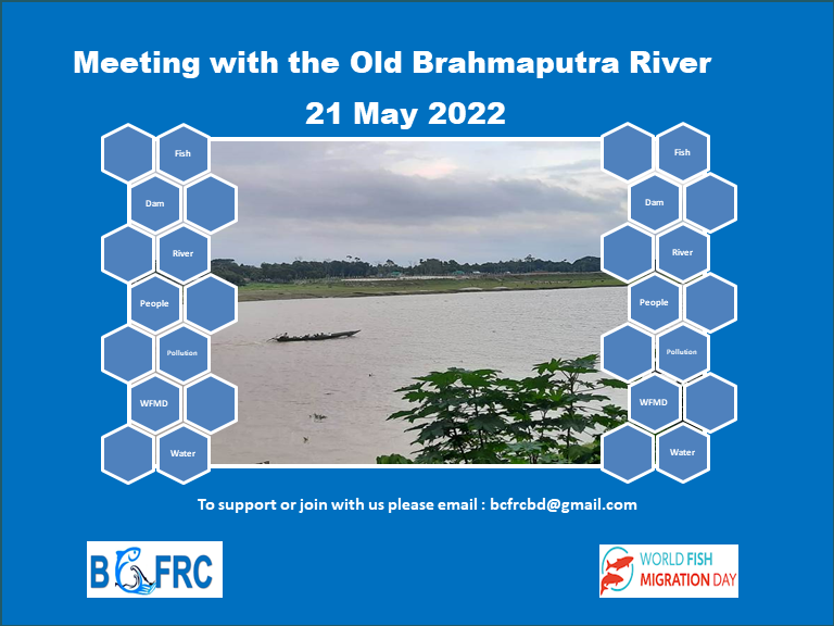 Meeting with the Old Brahmaputra River