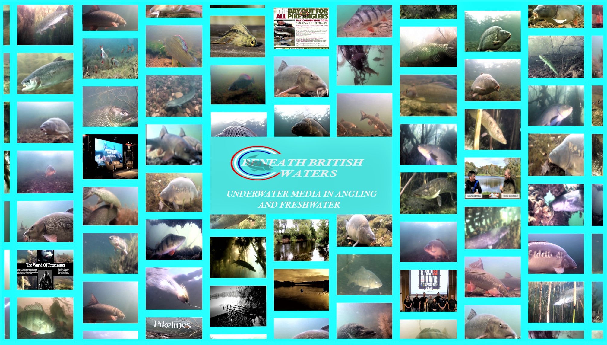 Underwater European Eel Filming “In loving memory of Nancy Washburne, Pioneer of Freshwater Discovery in Michigan”-UK