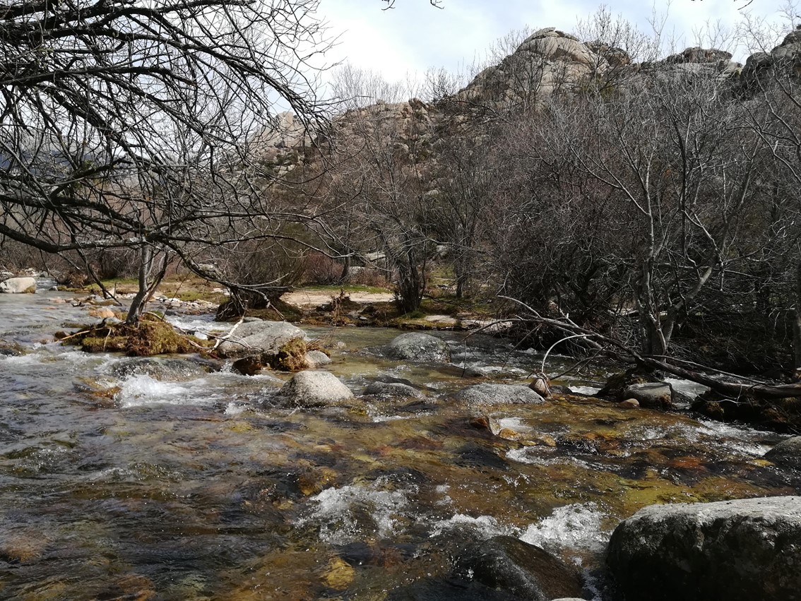 Restauración ecológica de la Cuenca Alta del Río Manzanares
