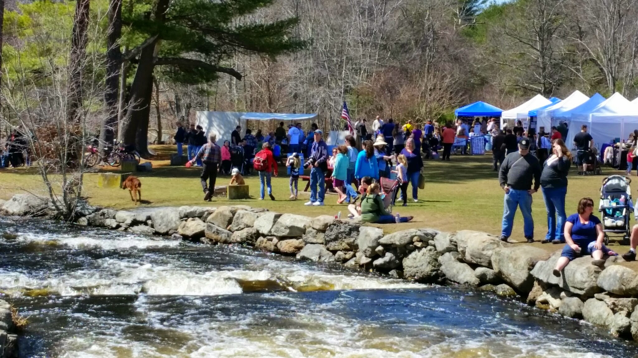The Nature Conservancy at Herring Run Festival