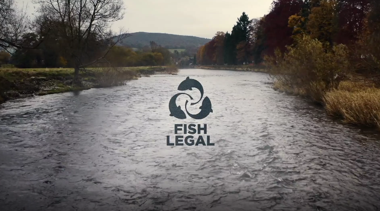 Fish Legal: Action and The River Wye