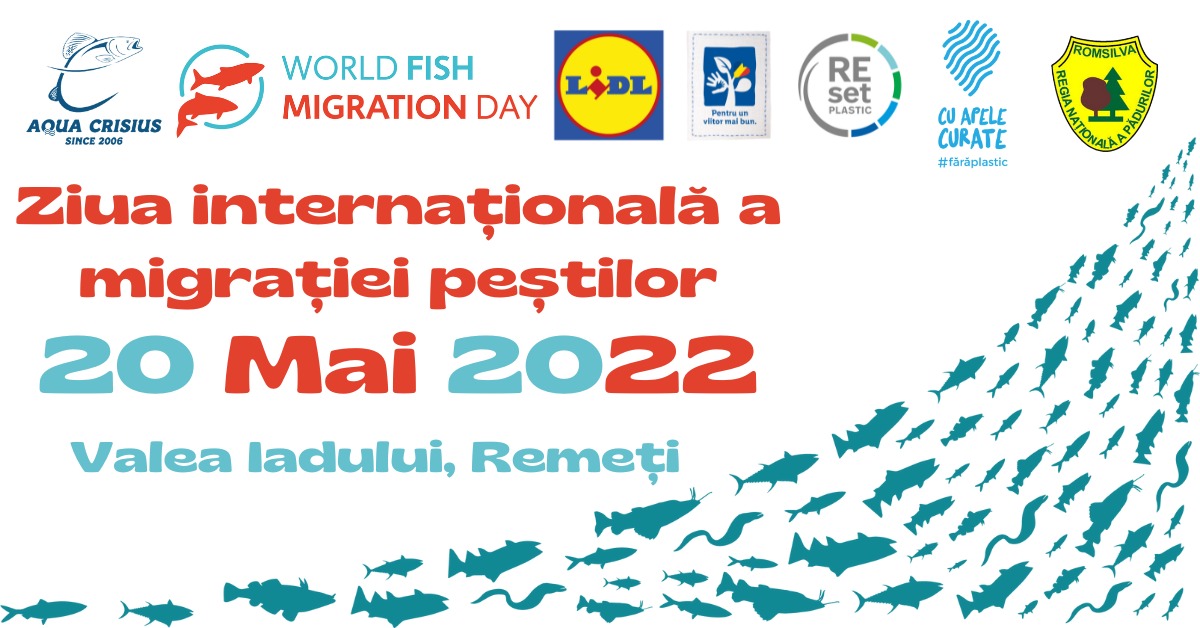 World Fish Migration Day on Hell’s Valley
