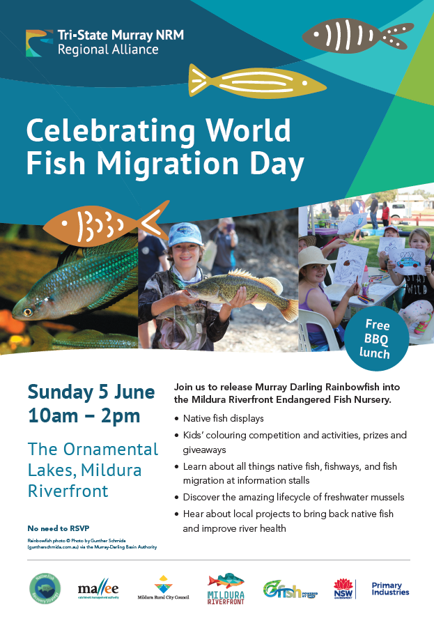 Celebrating World Fish Migration Day at the Ornamental Lakes, Mildura
