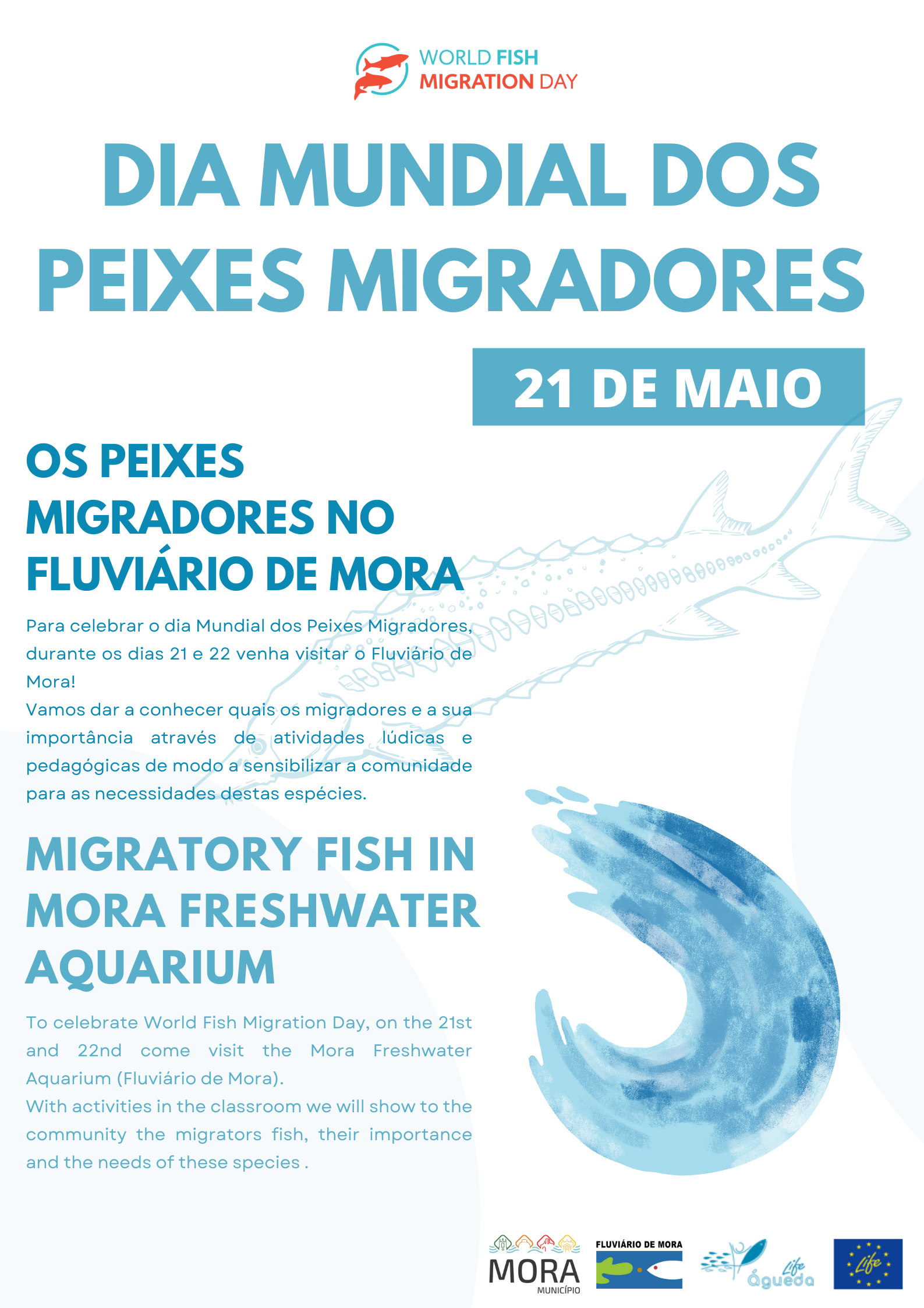Migratory Fish in Mora Freshwater Aquarium