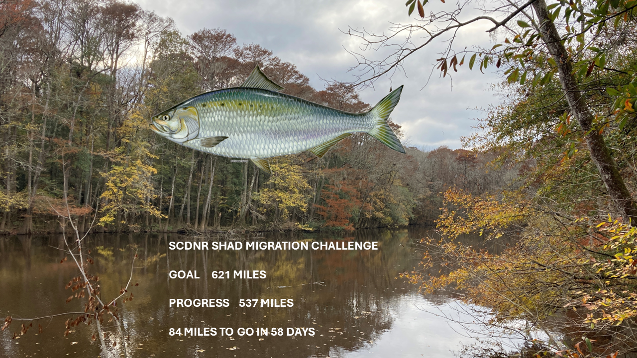 SCDNR’s Happy Fish Challenge
