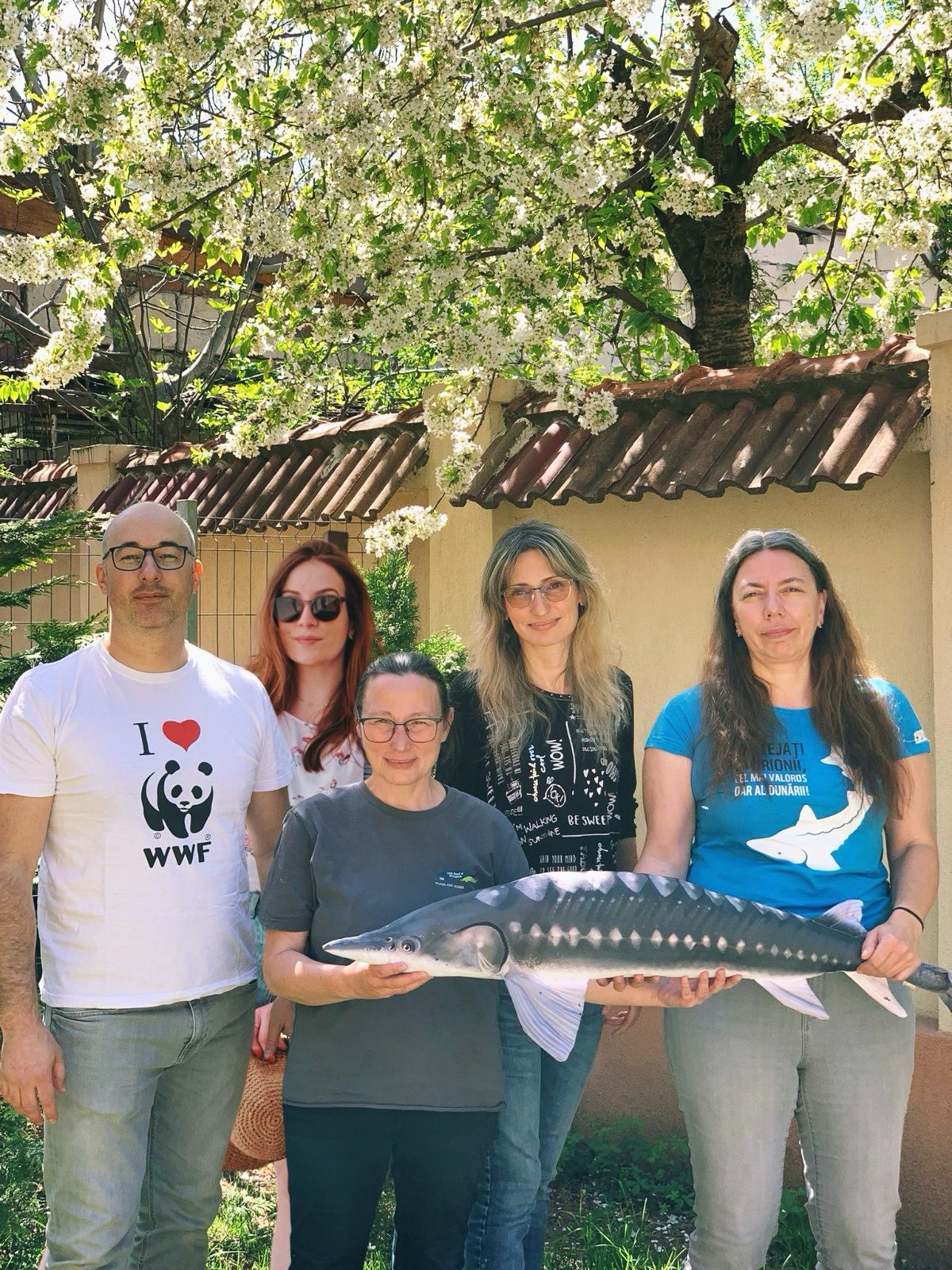 Migrating Sturgeon – WWF Romania
