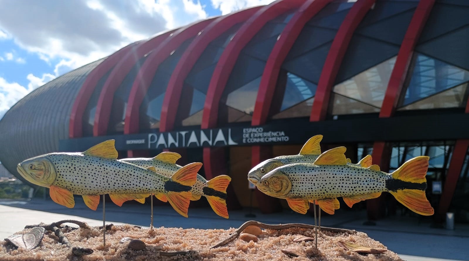 GUARDIANS OF THE RIVERS: THE EPIC JOURNEY OF MIGRATORY FISHES IN PANTANAL
