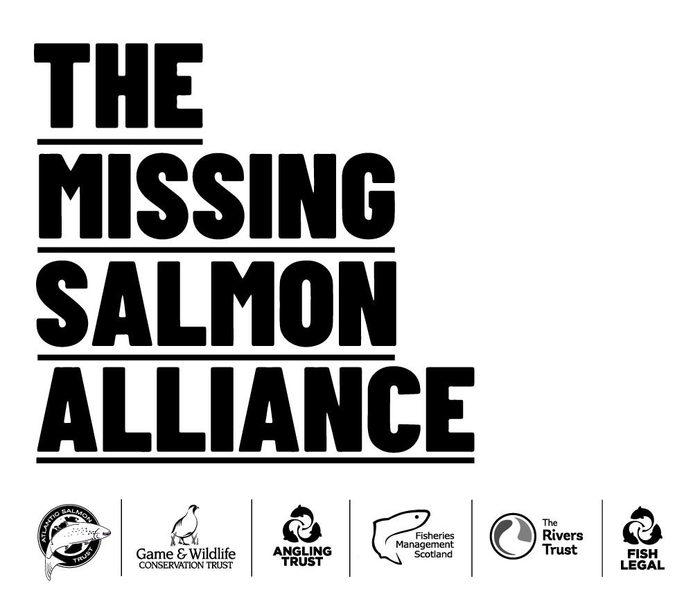 Missing Salmon Alliance