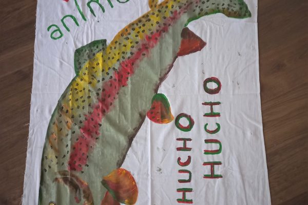 HuchoHucho1