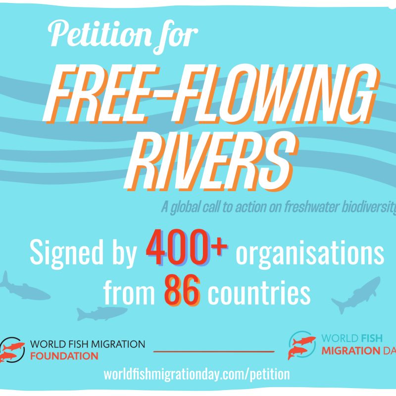 World Fish Migration Day Connecting fish, rivers and people