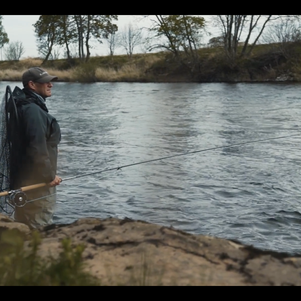 World Fish Migration Day Connecting Fish Rivers And People