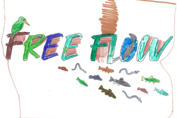 freeflow colours_1