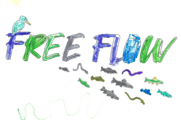 freeflow colours_3
