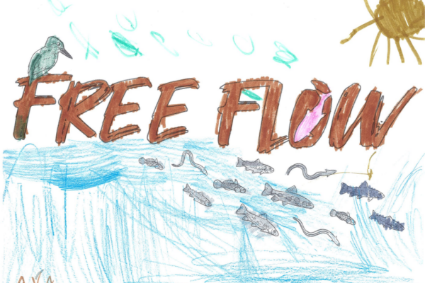 freeflow colours_4