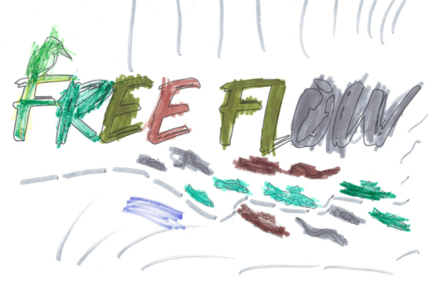 freeflow colours_6