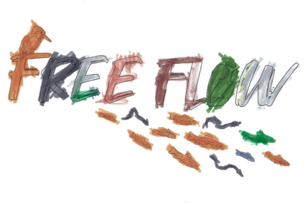 freeflow colours_8