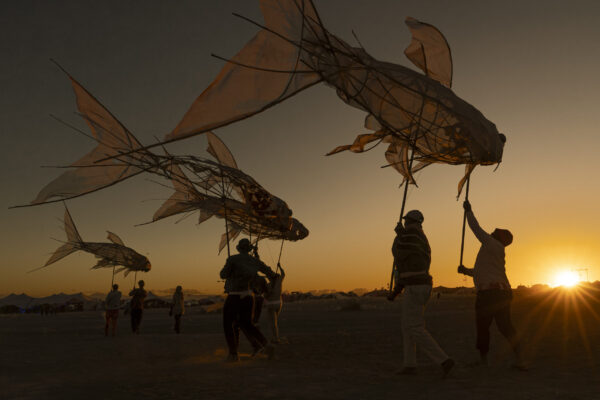 75_Afrikaburn-Sandfish_Jeremy Shelton (10)