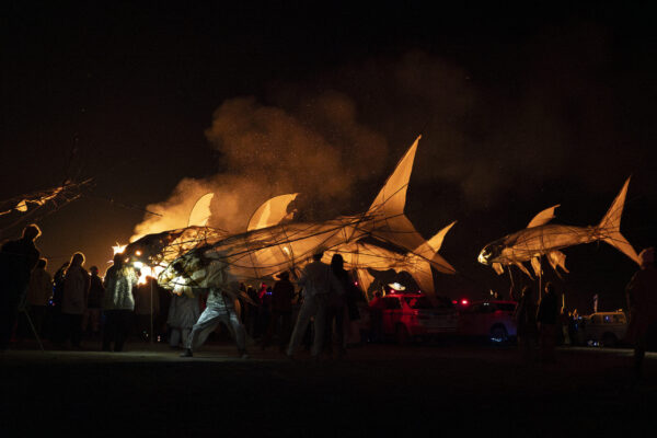 75_Afrikaburn-Sandfish_Jeremy Shelton (14)