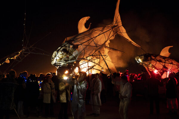 75_Afrikaburn-Sandfish_Jeremy Shelton (16)