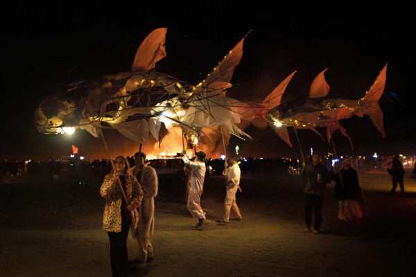 75_Afrikaburn-Sandfish_Jeremy Shelton (20)