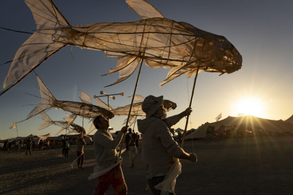 75_Afrikaburn-Sandfish_Jeremy Shelton (3)