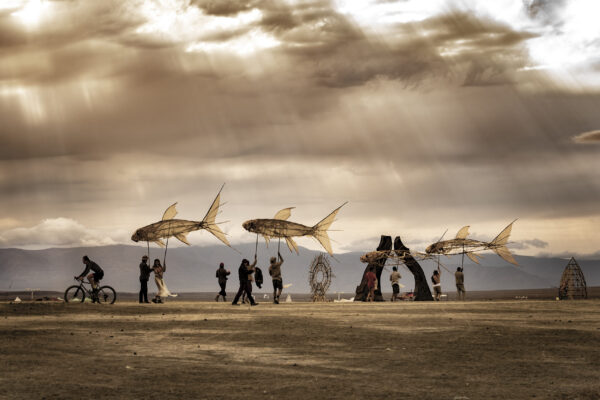 75_Afrikaburn-Sandfish_Jeremy Shelton (32)