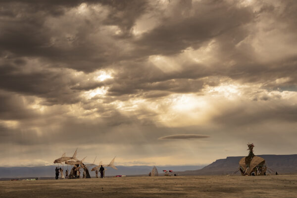 75_Afrikaburn-Sandfish_Jeremy Shelton (33)