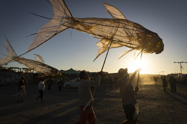 75_Afrikaburn-Sandfish_Jeremy Shelton (4)