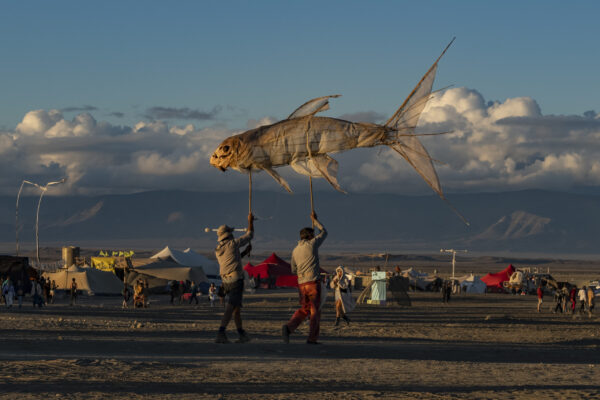 75_Afrikaburn-Sandfish_Jeremy Shelton (5)