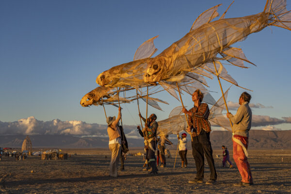 75_Afrikaburn-Sandfish_Jeremy Shelton (6)