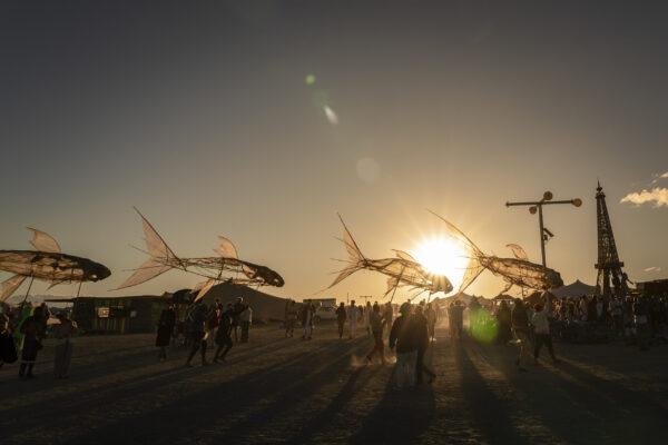 75_Afrikaburn-Sandfish_Jeremy Shelton (9)