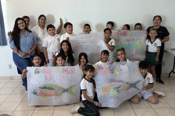 Eco-Alianza Loreto A.C. (15)