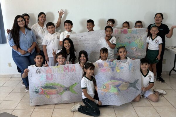 Eco-Alianza Loreto A.C. (16)