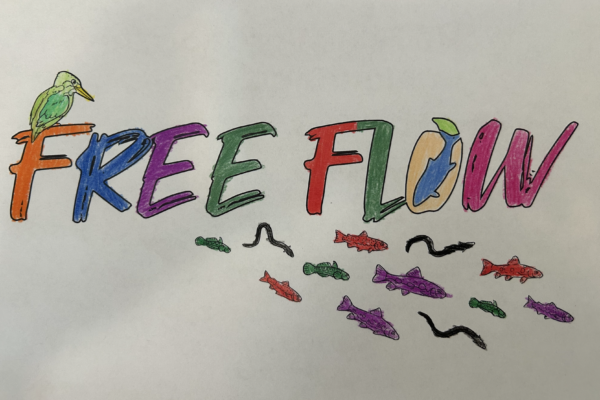 Free_Flow_Colours_Pablo_Melendez