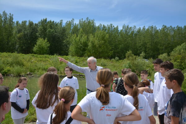 North Transdanubian Water Directorate_Fabian Eszter (2)