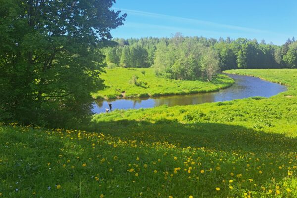 Par Lielu Lielo Juglu - Latvia