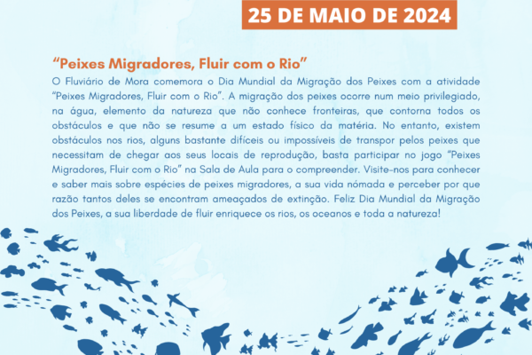 Peixes Migradores, Fluir com o Rio (1)