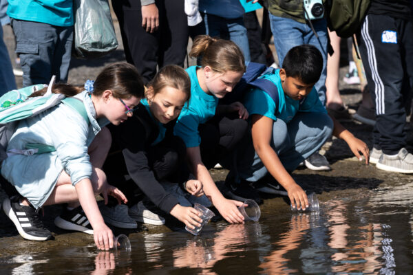 PNNL researchers and STEM ambassadors are an integral part of the annual Salmon Summit at Columbia Park. Fourth graders from local and regional schools release 2,800 classroom-raised fish and PNNL tags and (with the kids’ help) releases another 500+.

Terms of Use: Our images are freely and publicly available for use with the credit line, "Andrea Starr | Pacific Northwest National Laboratory"; Please use provided caption information for use in appropriate context.