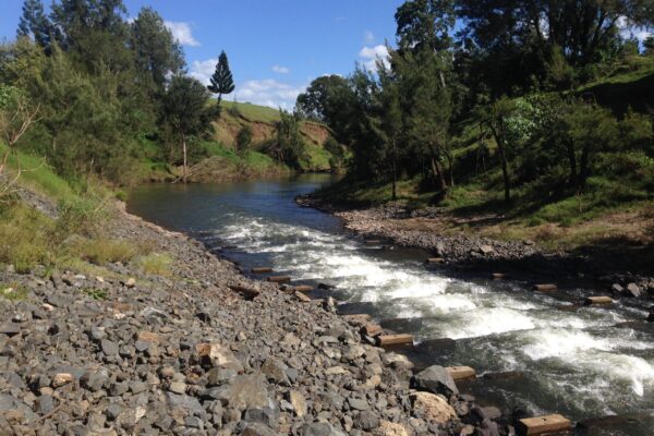 1553_Australia2018 © Patrick Dwyer (Kyogle Fishway 2)