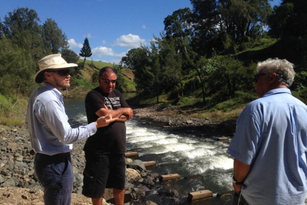 1553_Australia2018 © Patrick Dwyer (Kyogle Fishway 4)