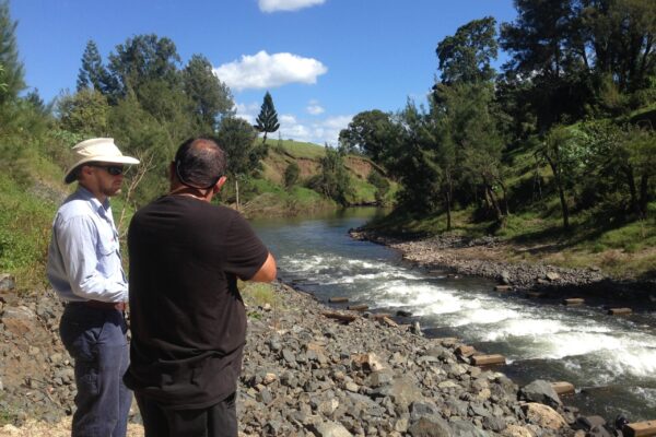 1553_Australia2018 © Patrick Dwyer (Kyogle Fishway)