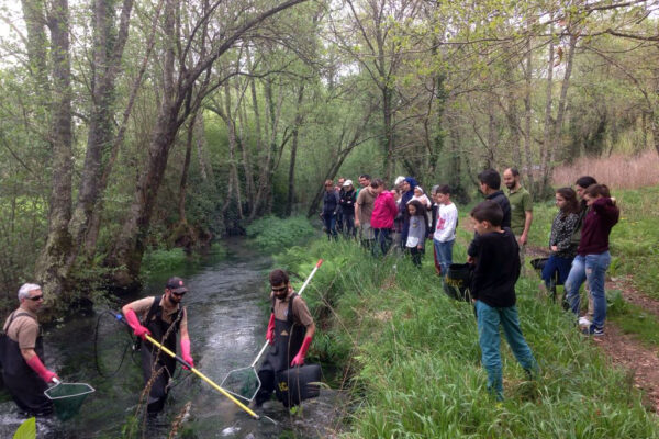 1711_Spain2018 © Estacion de Hidrobiologia Encoro do Con (EHEC) (3)