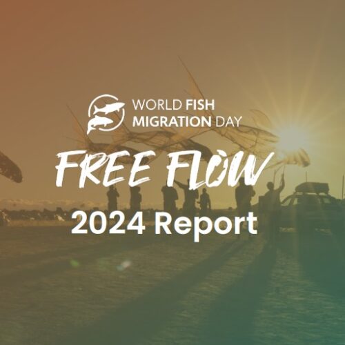 WFMD2024 – Report