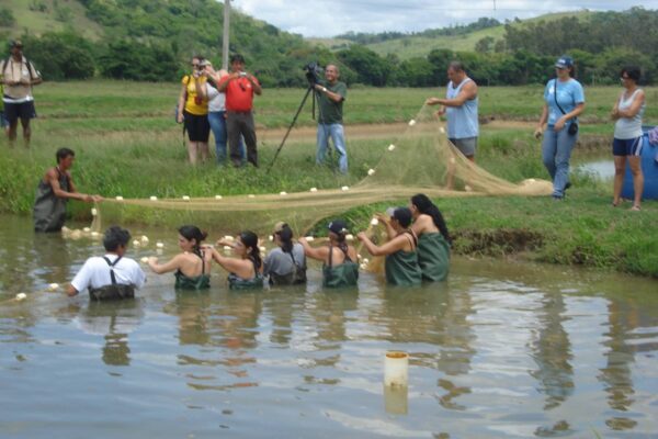 2041_Brazil2020©Felipe Daudt de Oliveira (3)