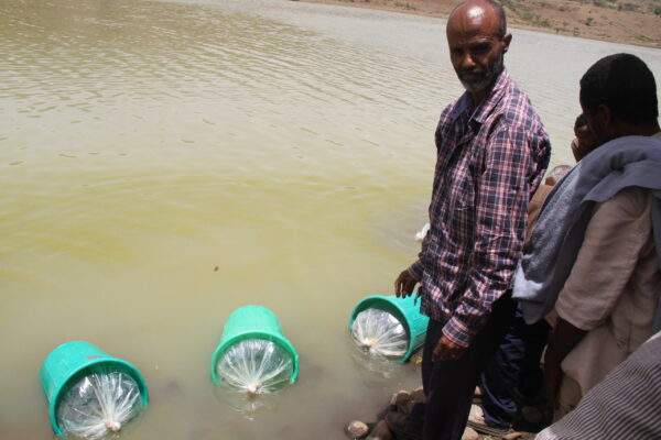 251_Ethiopia_2022©Abebe Getahun(Restocking of fish fingerlings to protect the cutoff population of Labeobarbus spp)