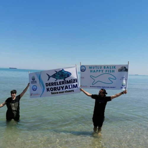 WFMD2022 – Turkey