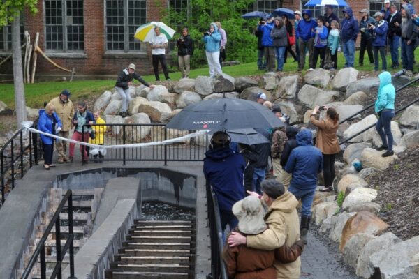 18753# 01alewives VASSALBORO, MAINE May 19, 2022. People gather at a completed Denil fishway during an event that celebrated the project completion along Outlet Stream that flows past the Olde Mill Place at 934 Main St. in Vassalboro, Maine Thursday May 19, 2022. The event, hosted by Maine Rivers, featured a ribbon cutting by Maine Governor Janet Mills. Mills is pictured at the bottom left, The completed project clears the migration path up China Lake Outlet Stream for the alewives. The project is designed to restore river access and encourage the return of the alewives. (Morning Sentinel/Rich Abrahamson)