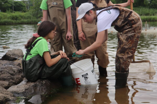 7_UnitedStates_2022©Chris Bowser-NYSDEC (2)