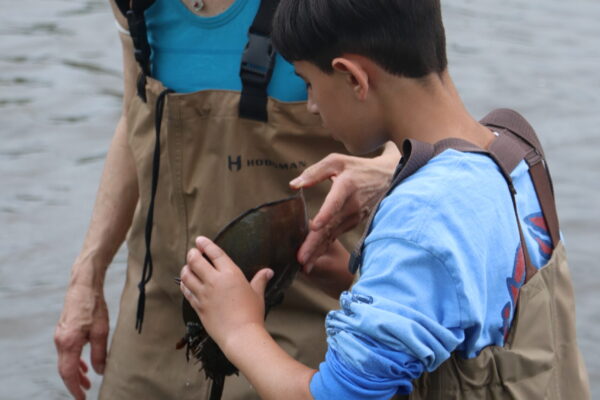 7_UnitedStates_2022©Chris Bowser-NYSDEC (3)