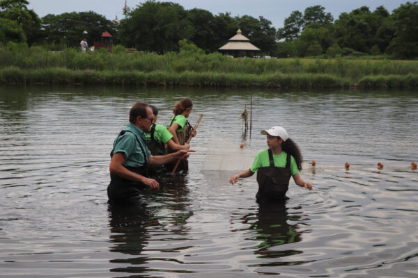 7_UnitedStates_2022©NYSDEC (53)